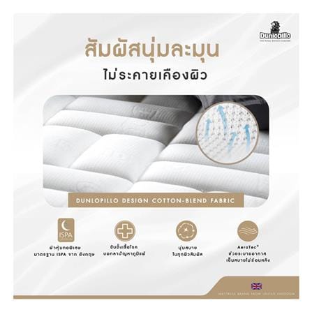 ที่นอนโฟม 5 ฟุต DUNLOPILLO รุ่น DOVER พร้อมหมอนหนุน 2 ชิ้น_3