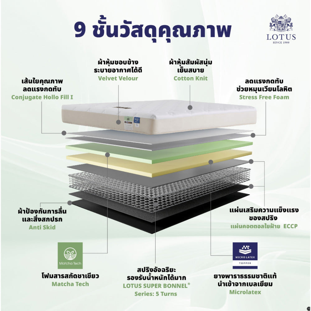 ที่นอนสปริง 5 ฟุต LOTUS รุ่น RENOA I (พร้อมหมอนหนุน 2 ชิ้น)