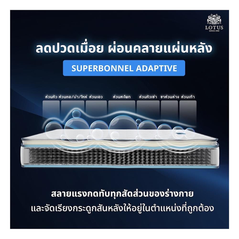 ที่นอนสปริง 5 ฟุต LOTUS รุ่น PREMIUM พร้อมหมอนหนุน 2 ชิ้น
