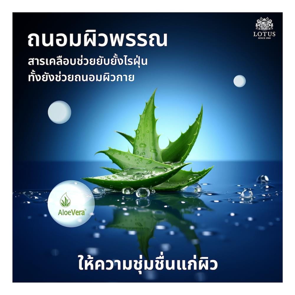 ที่นอนสปริง 5 ฟุต LOTUS รุ่น PREMIUM พร้อมหมอนหนุน 2 ชิ้น