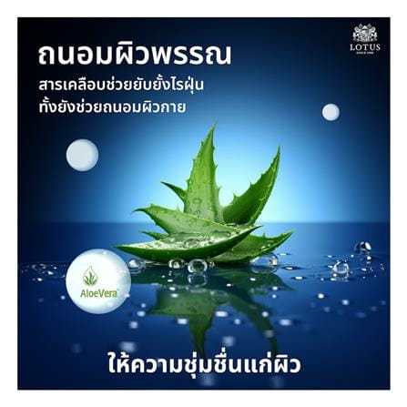 ที่นอนสปริง 5 ฟุต LOTUS รุ่น PREMIUM พร้อมหมอนหนุน 2 ชิ้น_10