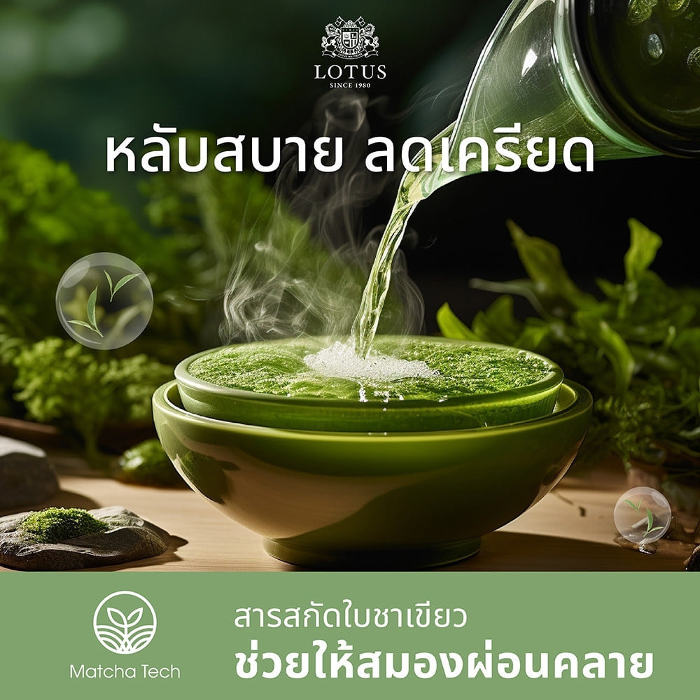 ที่นอนสปริง 6 ฟุต LOTUS รุ่น RENOA I (พร้อมหมอนหนุน 2 ชิ้น)