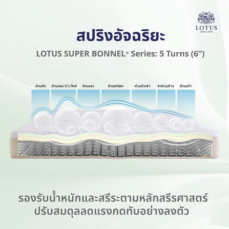 ที่นอนสปริง 6 ฟุต LOTUS รุ่น RENOA I (พร้อมหมอนหนุน 2 ชิ้น)_5