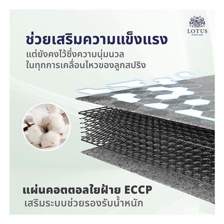 ที่นอนสปริง 3.5 ฟุต LOTUS รุ่น RENOA I พร้อมหมอนหนุน 1 ชิ้น_6
