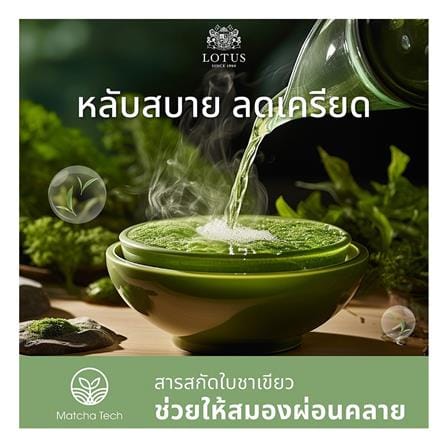 ที่นอนสปริง 3.5 ฟุต LOTUS รุ่น RENOA I พร้อมหมอนหนุน 1 ชิ้น_8