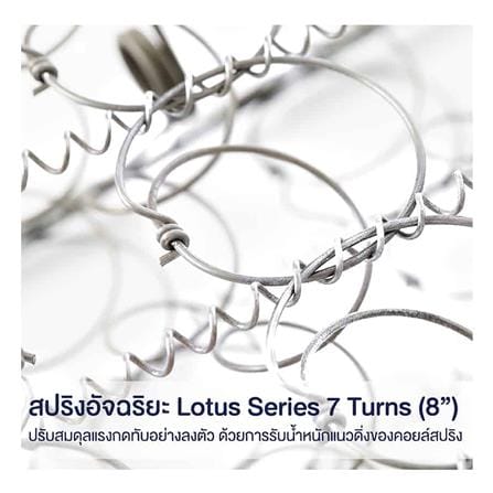 ที่นอนสปริง 3.5 ฟุต LOTUS รุ่น SUPREME พร้อมหมอนหนุน 1 ชิ้น_5