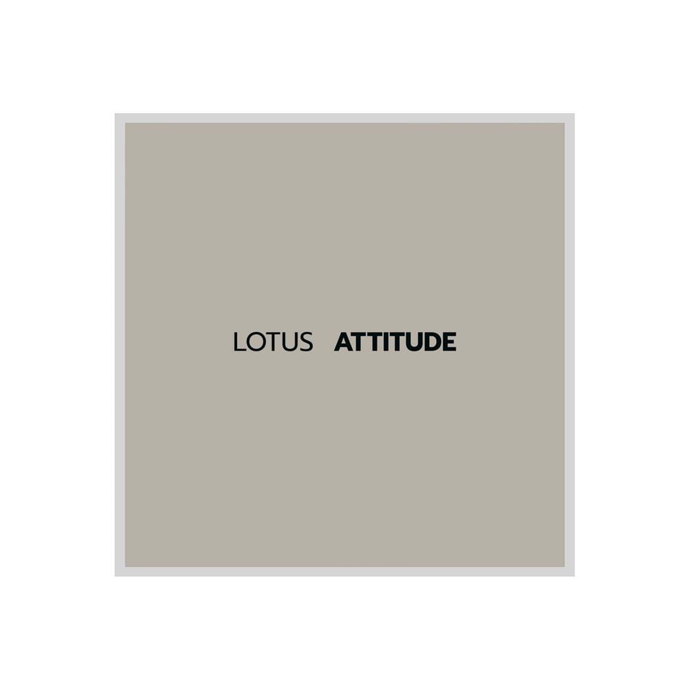 ชุดผ้าปูที่นอน 5 ฟุต 5 ชิ้น LOTUS NORDEN ND-MORGON
