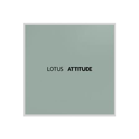 ชุดผ้าปูที่นอน 6 ฟุต 5 ชิ้น LOTUS NORDEN ND-GRON_4