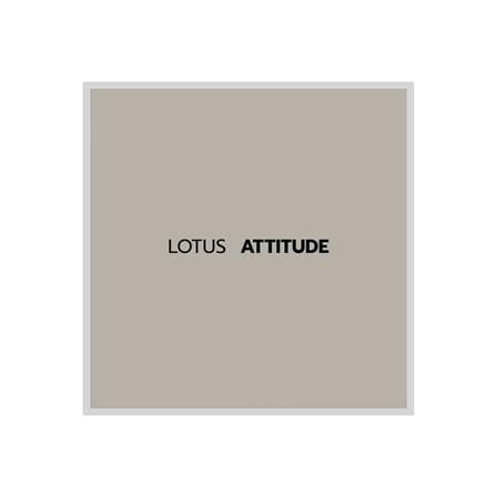ชุดผ้าปูที่นอน 6 ฟุต 5 ชิ้น LOTUS NORDEN ND-MORGON_4