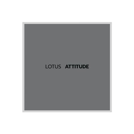 ชุดผ้าปูที่นอน 5 ฟุต 5 ชิ้น LOTUS NORDEN ND-GRA_4