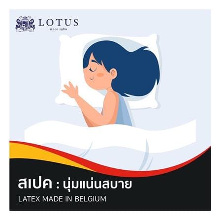 แผ่นรองนอน 3 ฟุต LOTUS SIENNA สีน้ำตาล_5