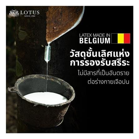 แผ่นรองนอน 5 ฟุต LOTUS TOPAZ_5
