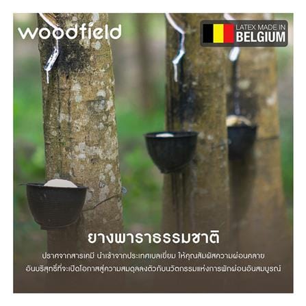 แผ่นรองนอน 6 ฟุต WOODFIELD FORBES สีขาว_4