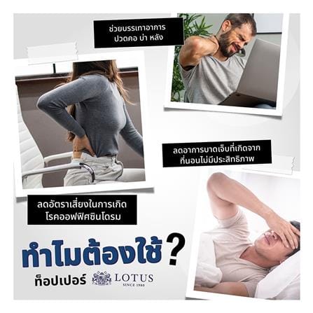 แผ่นรองนอน 6 ฟุต LOTUS FODEN สี NAVY BLUE_5