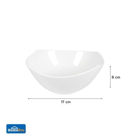 ชาม PORCELAIN 6.75 นิ้ว KECH SNOW PROF. PANNIER_4