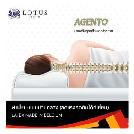 แผ่นรองนอน 5 ฟุต LOTUS AGENTO_4