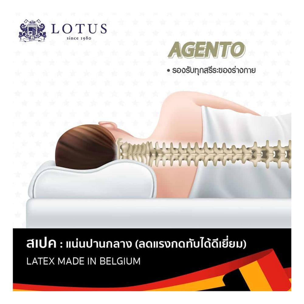 แผ่นรองนอน 3.5 ฟุต LOTUS AGENTO