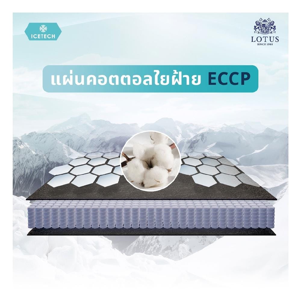 ที่นอนพ็อกเก็ตสปริง 5 ฟุต LOTUS รุ่น ARCTIC ZEN พร้อมชุดเครื่องนอน 11 ชิ้น