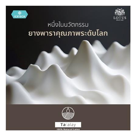 ที่นอนพ็อกเก็ตสปริง 5 ฟุต LOTUS รุ่น ARCTIC ZEN พร้อมชุดเครื่องนอน 11 ชิ้น_5