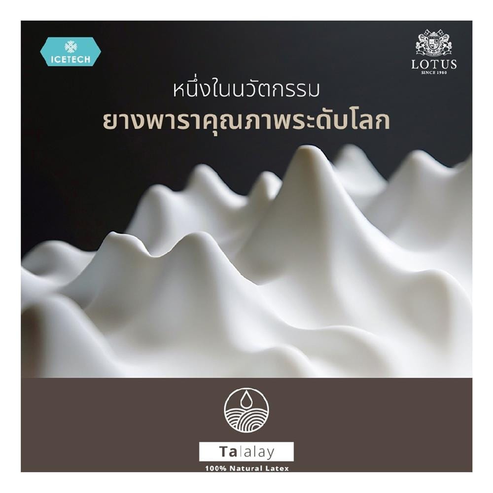 ที่นอนพ็อกเก็ตสปริง 3.5 ฟุต LOTUS รุ่น ARCTIC ZEN พร้อมชุดเครื่องนอน 7 ชิ้น