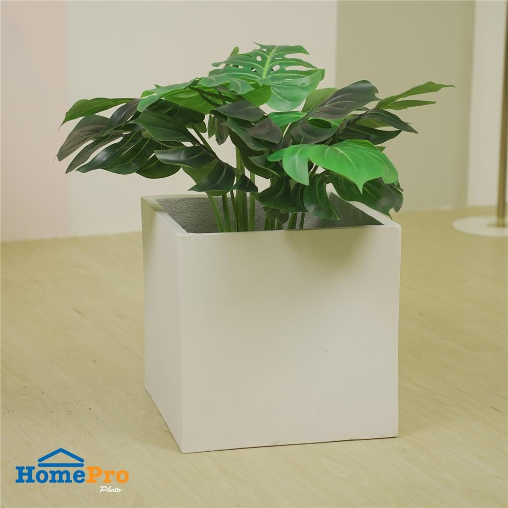 กระถางลูกเต๋า SPRING 35X35X35 ซม.