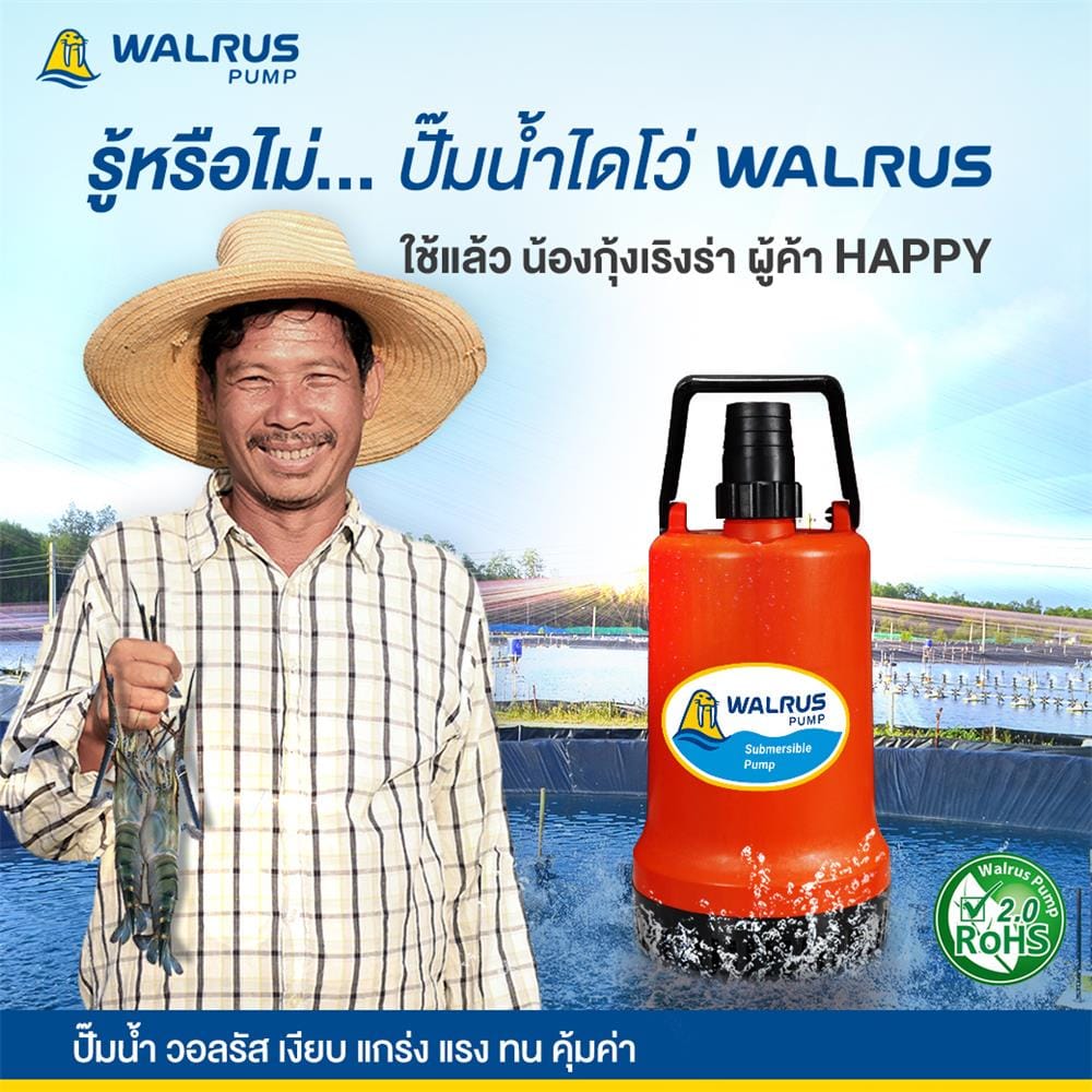 ปั๊มจุ่มน้ำสะอาด WALRUS PUMP PW400A 400 วัตต์