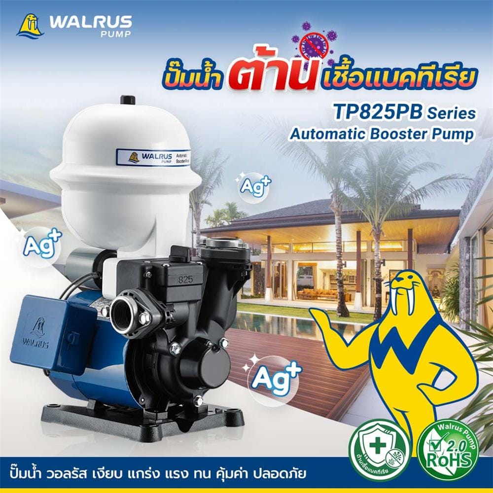 ปั๊มอัตโนมัติ WALRUS PUMP TP825PB 370 วัตต์