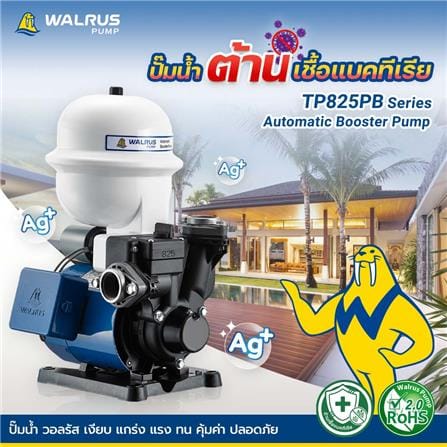 ปั๊มอัตโนมัติ WALRUS PUMP TP825PB 370 วัตต์_4