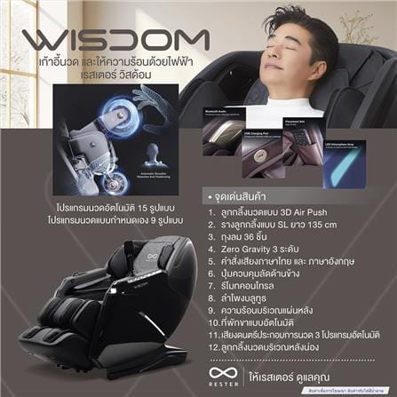 เก้าอี้นวดไฟฟ้า RESTER WISDOM สีน้ำตาล_2