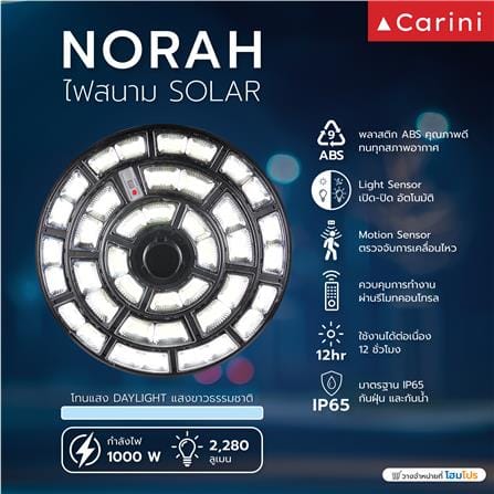 ไฟสนาม SOLAR CARINI NORAH RD 1000 วัตต์ DAYLIGHT สีดำ_5