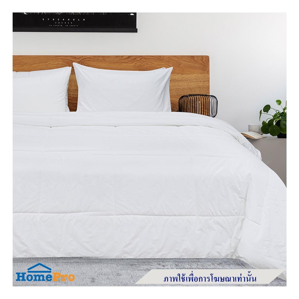 ปลอกหมอนหนุน PICASSO CT SOLID 20x30 นิ้ว แพ็ก 2 ชิ้น สี WHITE