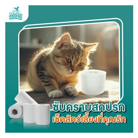 กระดาษชำระ MOKO MOKO (แพ็ก 24 ม้วน)_1