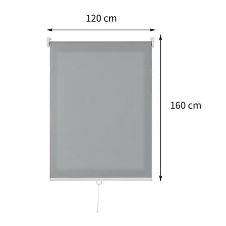 ผ้าม่านม้วน HOME LIVING STYLE CORDLESS DIO 120X160 ซม. สีเทา_6