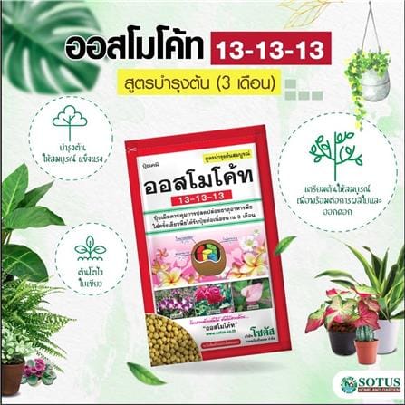 ปุ๋ยอนินทรีย์ ออสโมโค้ท 13-13-13 100 ก._1