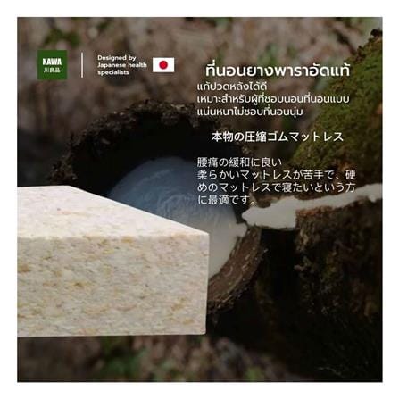 ที่นอนยางพารา 3.5 ฟุต สุญญากาศ KAWA รุ่น APRIL_2