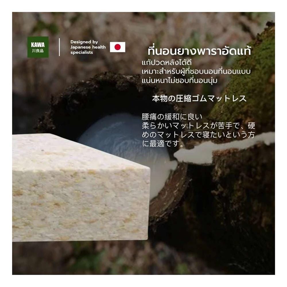 ที่นอนยางพารา 6 ฟุต KAWA รุ่น FUDO พร้อมหมอนหนุน 1 ใบ
