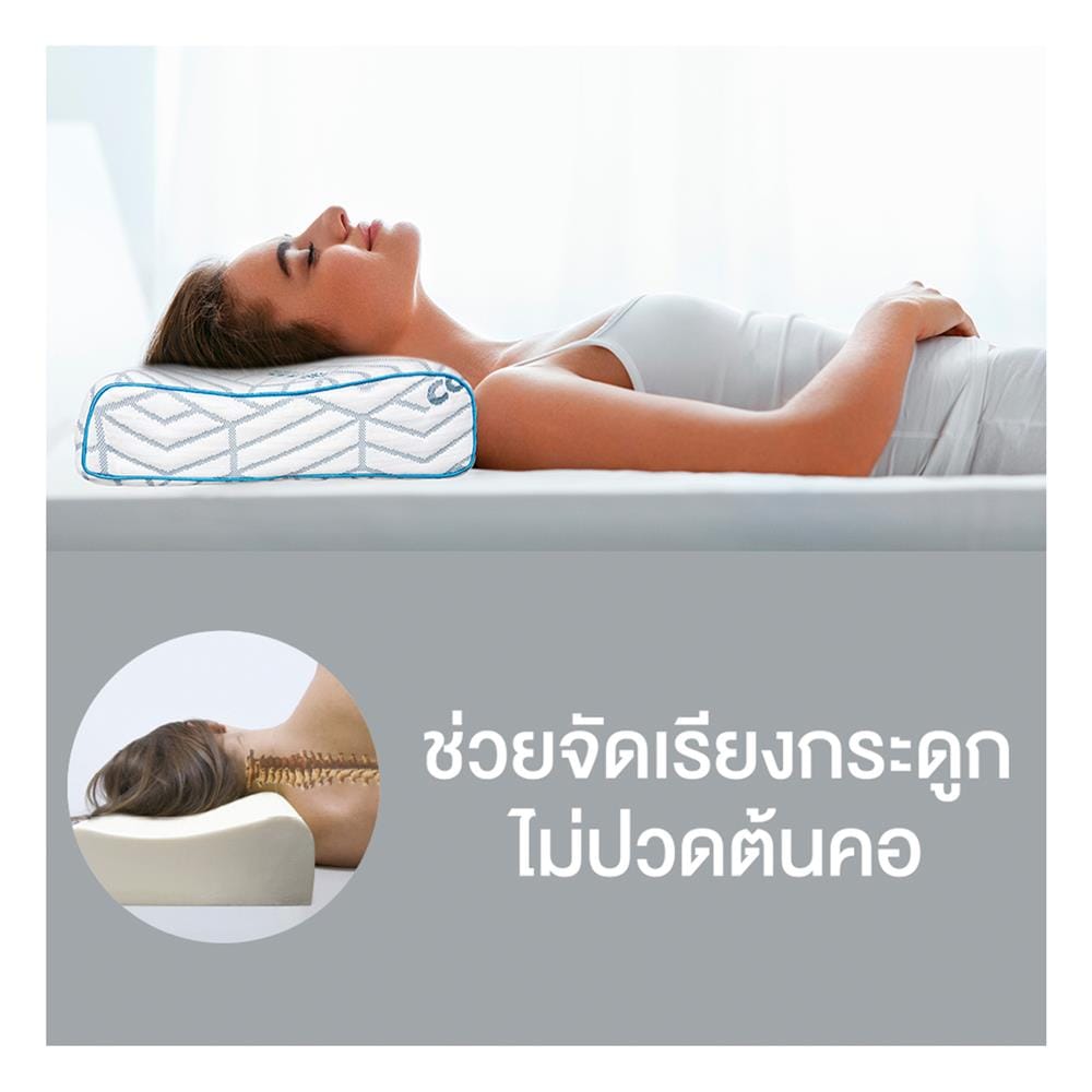 หมอนสุขภาพ ยางพารา SERA GRANDE COOL FEEL 57x35x10 ซม. สีขาว
