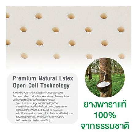 หมอนสุขภาพ ยางพารา SERA GRANDE COOL FEEL 57x35x10 ซม. สีขาว_7