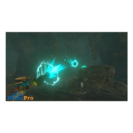 แผ่นเกม NINTENDO SWITCH THE LEGEND OF ZELDA : TEARS OF THE KINGDOM_4