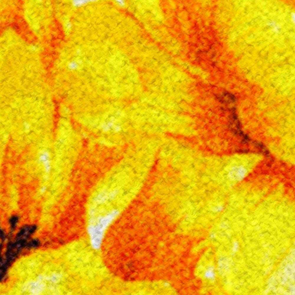 พรมเช็ดเท้าดักฝุ่น PRAW YELLOW BLOSSOM 75X100 ซม. สีเหลือง