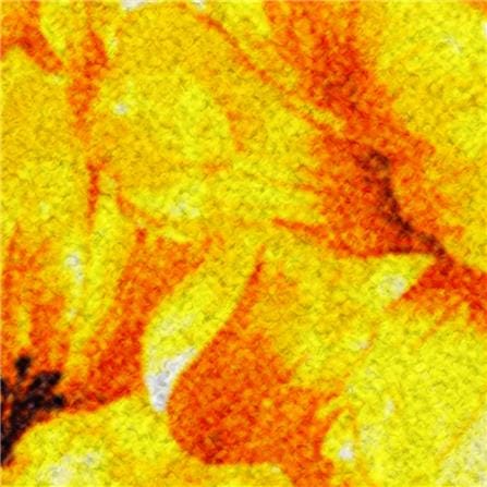 พรมเช็ดเท้าดักฝุ่น PRAW YELLOW BLOSSOM 75X100 ซม. สีเหลือง_1