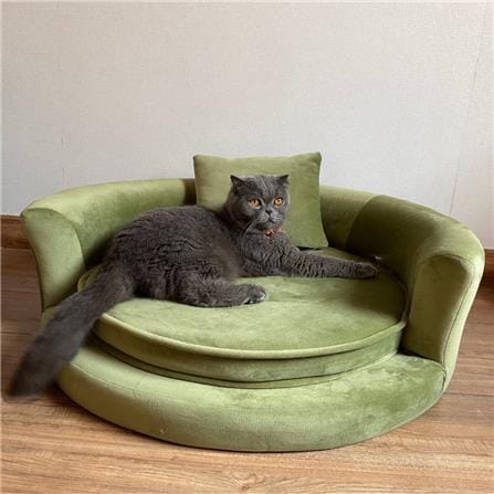 โซฟาสัตว์เลี้ยง PET BUDDY PB03 65X55X32 ซม. สีเขียว_1