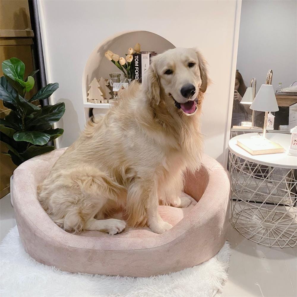 โซฟาสัตว์เลี้ยง PET BUDDY PB11 30X80X60 ซม. สีโอลด์โรส