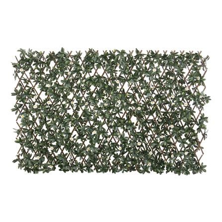 รั้วไม้อเนกประสงค์ ยืด-หด SPRING AZALEA 200X100 ซม._1
