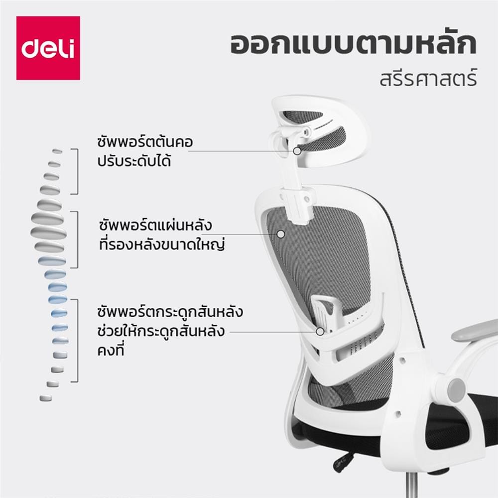 เก้าอี้สำนักงาน DELI E4955-WH-01 สีดำ/ขาว