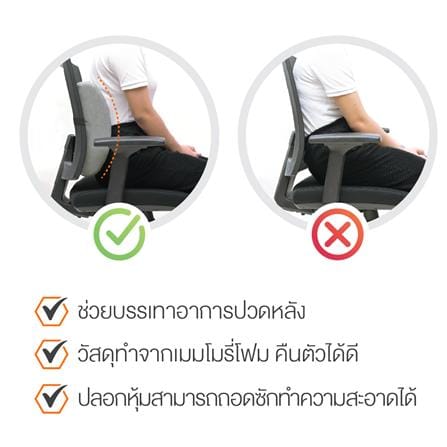 เบาะรองหลัง ERGOTREND SIZE L 18X14 นิ้ว สีเทา_2