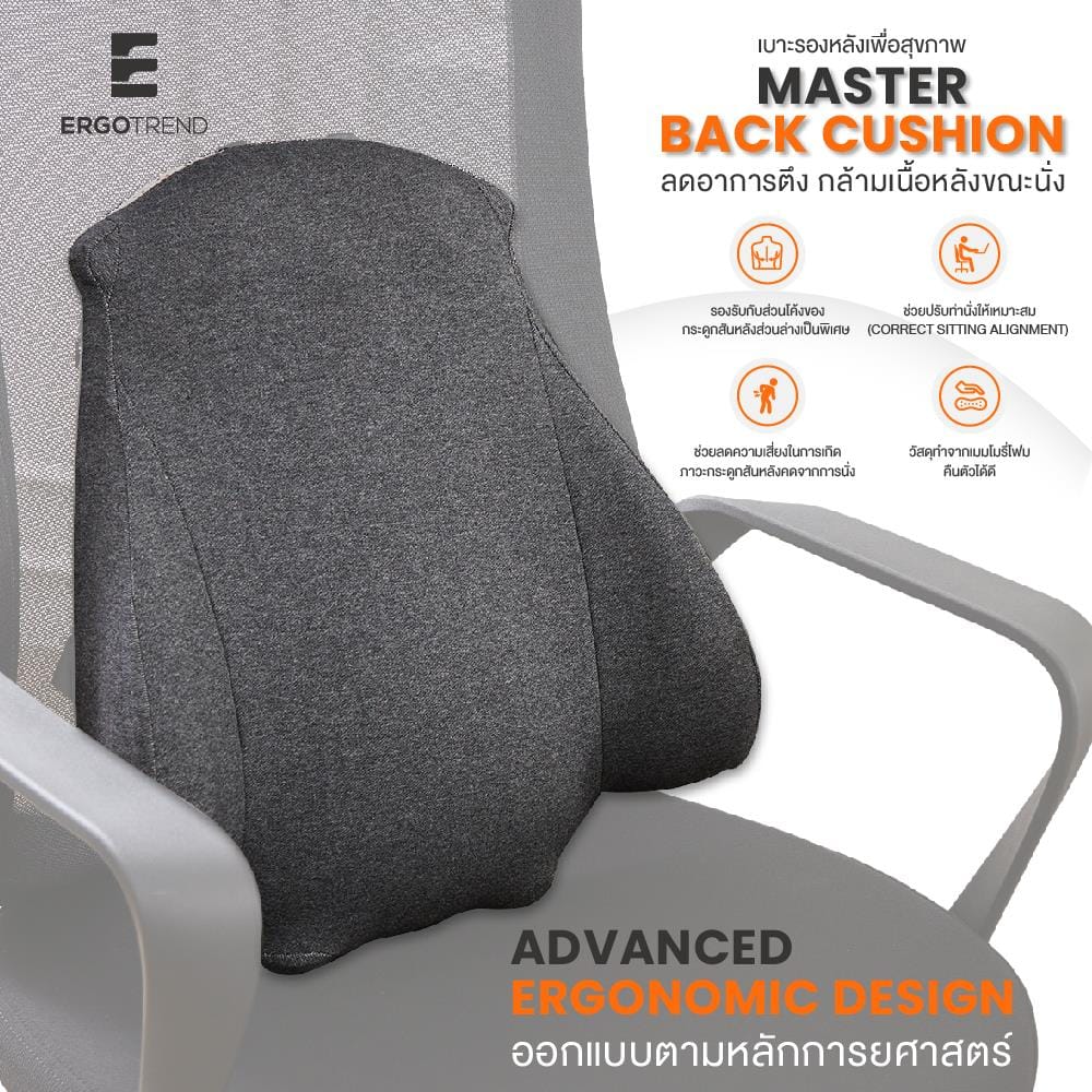 เบาะรองหลัง ERGOTREND MASTER BACK 16X14 นิ้ว สีเทา