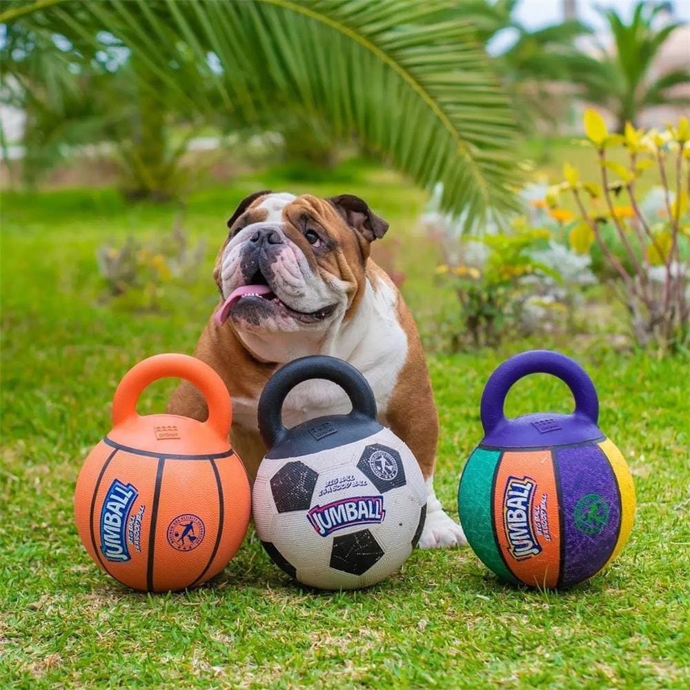 ของเล่นสุนัข GIGWI JUMBALL FOOTBALL