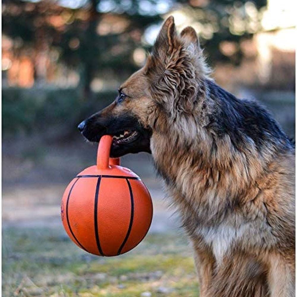 ของเล่นสุนัข GIGWI JUMPBALL BASKETBALL