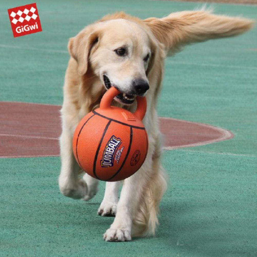 ของเล่นสุนัข GIGWI JUMPBALL BASKETBALL